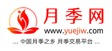 中国上海龙凤419，月季品种介绍和养护知识分享专业网站(图1)