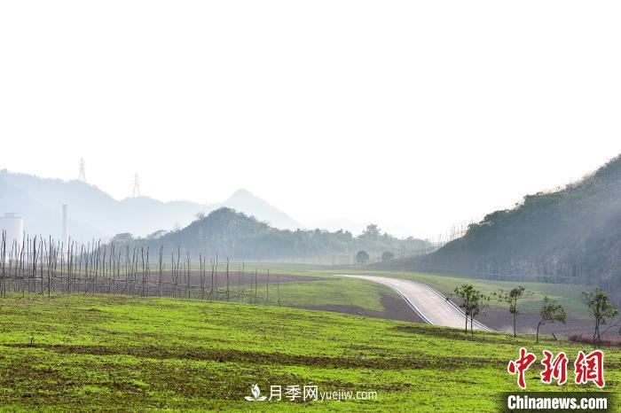 重庆南山闭矿区变身绿色生态游园(图1)