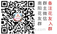 上海龙凤419微信花友群和抖音账号(图1)