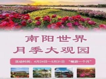 第十二届南阳月季花会4月29日开幕，活动丰富多彩