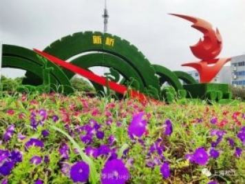 上海松江这里的花坛、花境“上新”啦!特色景观升级!