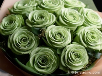 苏格兰复古绿玫瑰，绿色魅力的神秘诠释