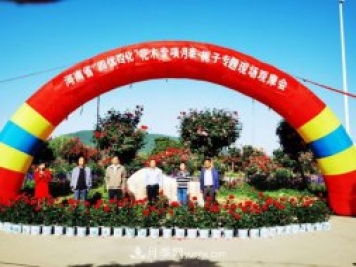 河南省四优四化项目 助推南阳月季、栀子产业发展
