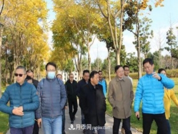 提升城市园林绿化，苏州向上海学什么？
